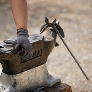 Farrier tools